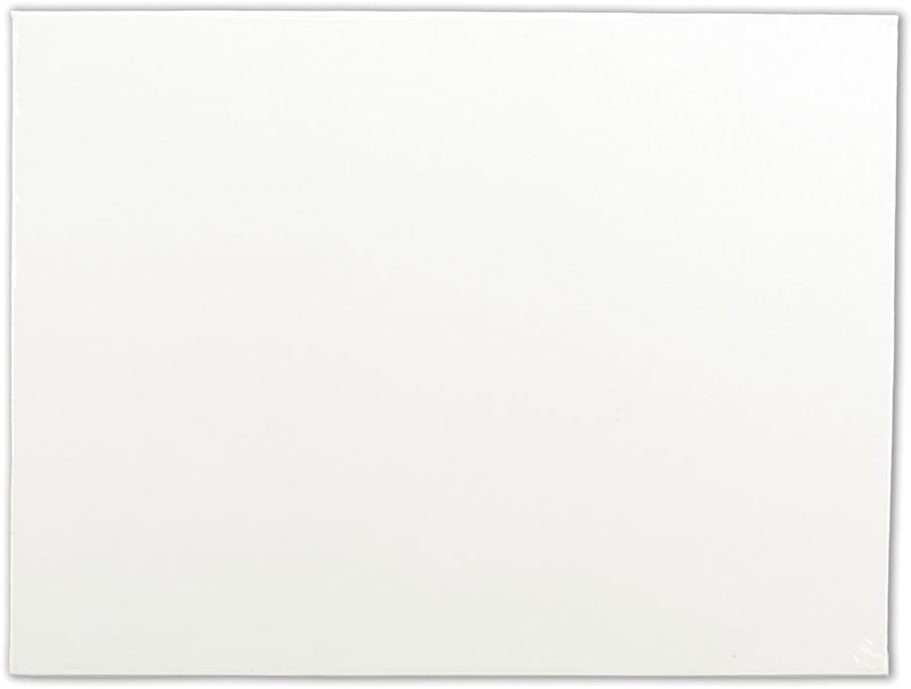 Winsor & Newton Artist's Canvas Board, 16" x 20",White